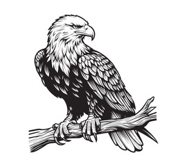 A Vector black-and-white simple line art drawing of a eagle and head