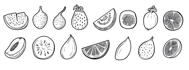 Rustic Hand-Drawn Fruit Collection – Vintage Botanical Line Art Featuring Citrus, Melon, Fig, and Papaya for Organic Branding, Packaging, and Recipe Books