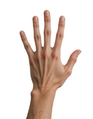 Rising Human Hand Showing Support or Ok on Transparent PNG Background.