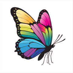 Butterfly Zero Discrimination