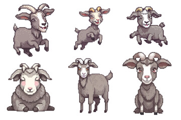 Obraz premium collection of pixel art grey goats in various styles and poses, 8-bit style