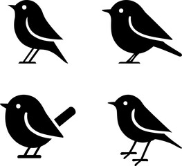 little bird	
