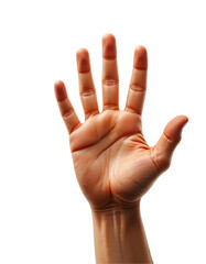 Fototapeta premium Rising Human Hand Showing Support or Ok on Transparent PNG Background.