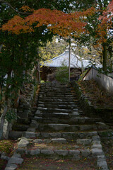 延暦寺慈眼堂　参道の石段　滋賀県大津市坂本