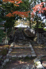 延暦寺慈眼堂　参道の紅葉　滋賀県大津市坂本