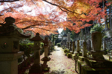 延暦寺慈眼堂　境内の紅葉　滋賀県大津市坂本