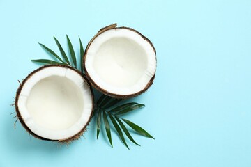 Coconut on color background, top view