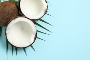 Coconut on color background, top view