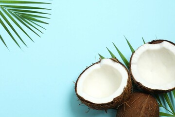 Coconut on color background, top view