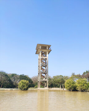 Natural view towers