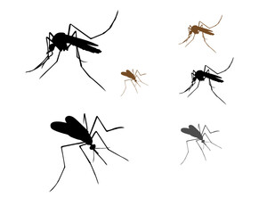 set of insects.A set of mosquito insect vectors includes various detailed illustrations in different poses, ideal for logos, branding, digital designs, offering a versatile and realistic collection.