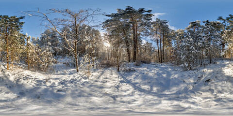 winter full spherical hdri 360 panorama view pedestrian road in snowy forest in equirectangular projection. VR AR content