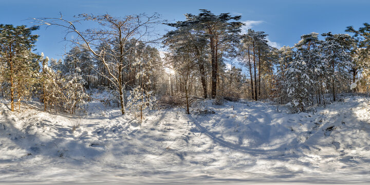 winter full spherical hdri 360 panorama view pedestrian road in snowy forest in equirectangular projection. VR AR content
