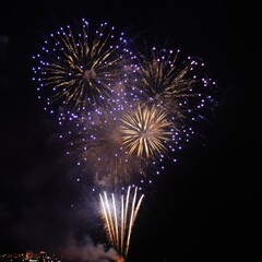 Beautiful fireworks display lighting up the night sky with golden and blue bursts, celebrating a festive occasion.
