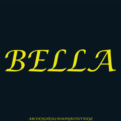 Unique elegant decorative serif alphabet display font vector illustration