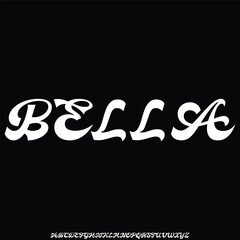 Unique elegant decorative serif alphabet display font vector illustration