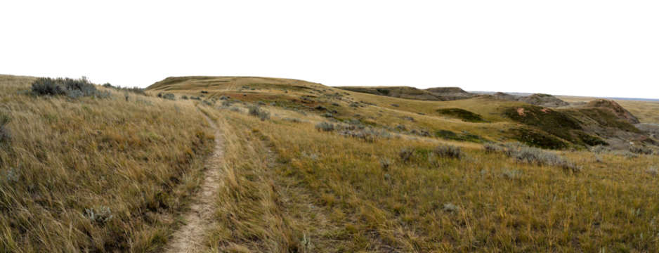 Dry desert badlands with short grass and a wagon road disappearing over a hill. Transparent sky.
