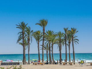 Scenic Beachfront with Palm Trees and Vacationers Under a Clear Blue Sky