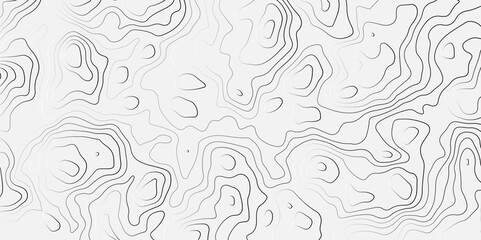 Abstract topographic contour line map, geographic mountain line map, topographic lines wavey backdrop topology contour background.