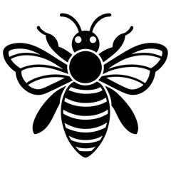 Bee Vector  High Quality Insect Illustrations for Nature and Agriculture Designs