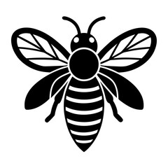 Bee Vector  High Quality Insect Illustrations for Nature and Agriculture Designs