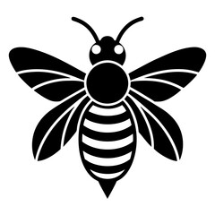 bee on white background