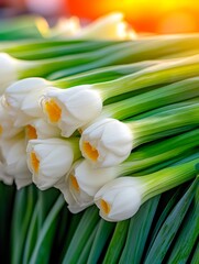 Freshly cut white daffodils with long green stems in golden sunlight