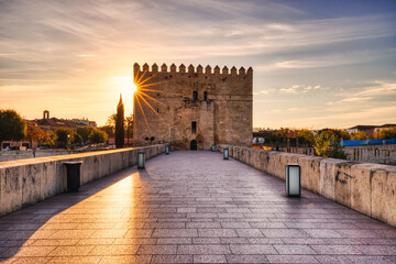 Mezquita Cathedral and Roman Bridge in Cordoba at Sunset, Andalusia