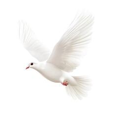 Fototapeta premium White dove in flight symbolizing love and harmony image