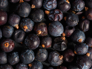 Bright juniper berries, create a calm and attractive natural background.