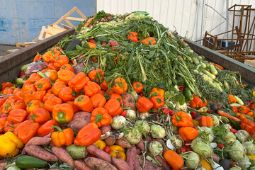 Expired Organic bio waste. Mix Vegetables in a huge container, in a rubbish bin. Heap of Compost...