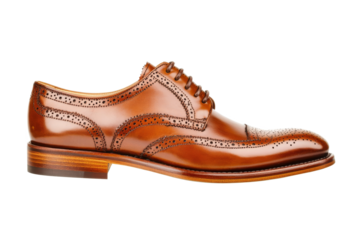 Brown dress shoe on white background