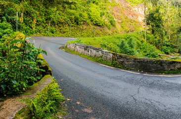 Tropical Rainforest and One Lane Bridge On The Road To Hana, Maui, Hawaii, USA