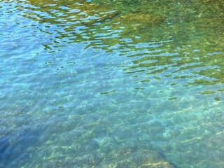 Transparent sea water with underwater seaweed