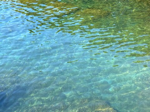 Transparent sea water with underwater seaweed