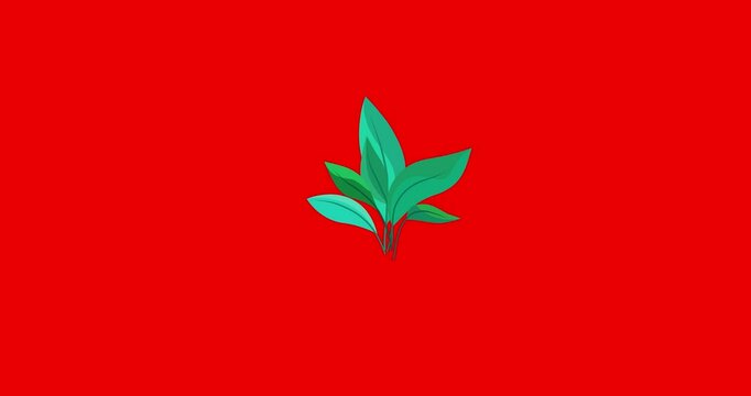 Cartoon houseplant for pot red screen isolated. Business style house or office interior plant flower good for explainer. Flat vector simple business style infographic seamless loop animation 4k video.