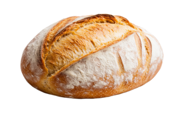 Freshly baked round loaf of artisanal bread