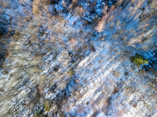 Aerial view of a snowy forest landscape with scattered trees and intricate shadows. The scene showcases nature's tranquility and winter beauty.