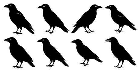 Fototapeta premium Crow Silhouette Bundle for Wildlife and Bird Design