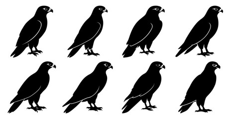 Falcon Silhouette Bundle for Wildlife and Bird Design