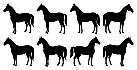 Horse Silhouette Bundle for Animal and Wildlife Designs
