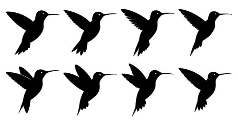 Hummingbird Silhouette Bundle for Bird and Wildlife Designs © pixostudio