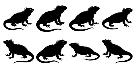 Iguana Silhouette Bundle for Reptile and Wildlife Designs