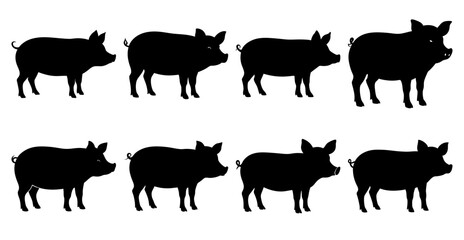 Pig Silhouette Bundle for Farm and Wildlife Designs