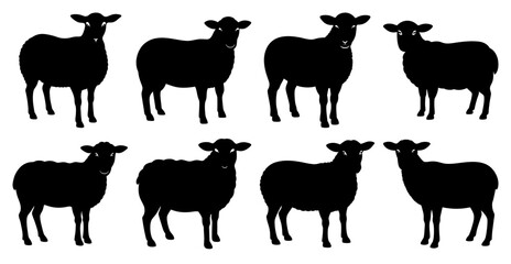 Sheep Silhouette Bundle for Farm and Wildlife Designs