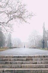 Foggy morning in the park