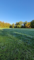 autumn landscape with lake