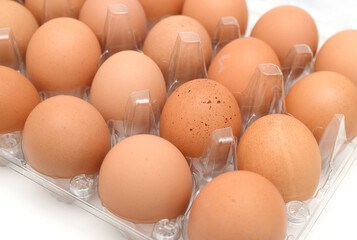 Raw eggs isolated on white background