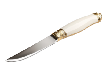 Elegant knife with ornate handle and blade design