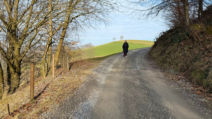 Obraz premium An elderly woman with a walking stick strolls along a winding gravel road in a peaceful countryside setting. The road curves gently around rolling green hills, creating a serene and scenic atmosphere.